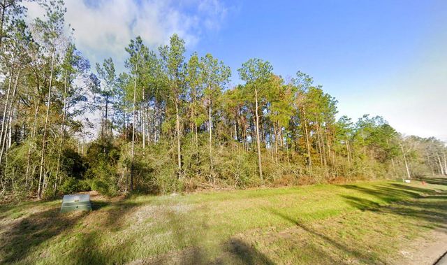 10633 Ruger Road, Willis, TX 77378