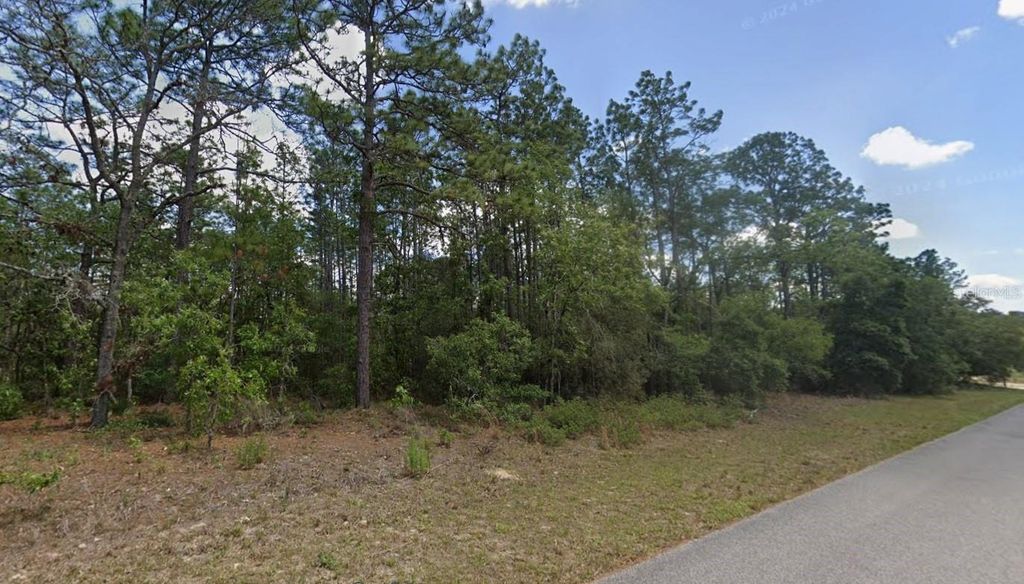 Image 3 of property listing at 9181 N SATINWOOD TERRACE, Citrus Springs, FL 34433