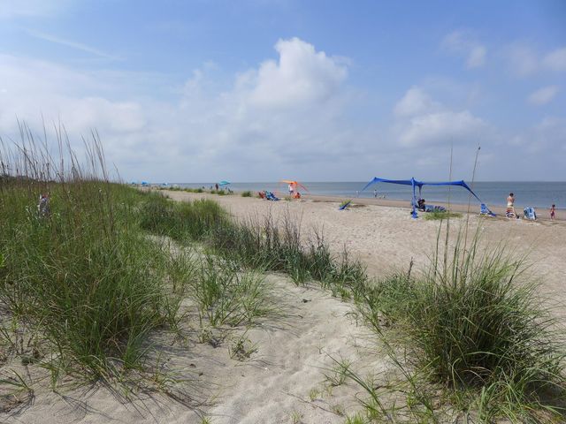 3332 Myrtle Street, Edisto Island, SC 29438