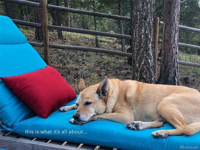 4805 County Road 72, Bailey, CO 80421