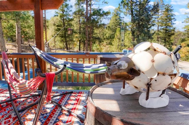 4805 County Road 72, Bailey, CO 80421