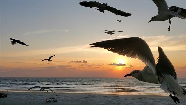 14810 Windward Dr 608, Corpus Christi, TX 78418