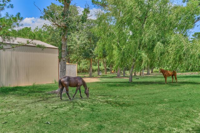 420 Ruel Road, Magnolia, TX 77355