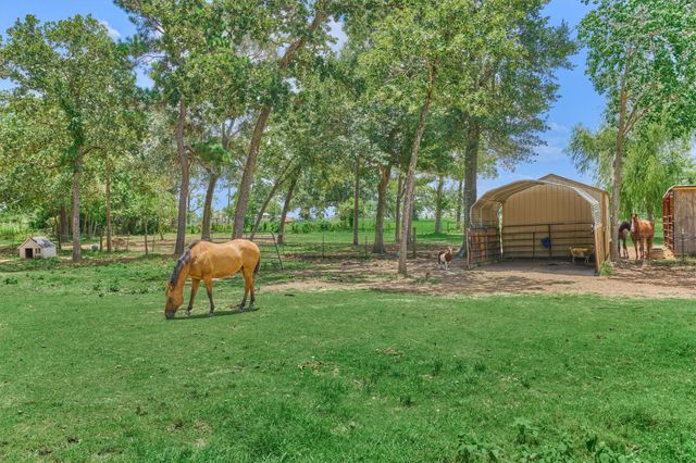 420 Ruel Road, Magnolia, TX 77355