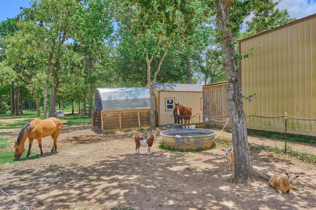 420 Ruel Road, Magnolia, TX 77355