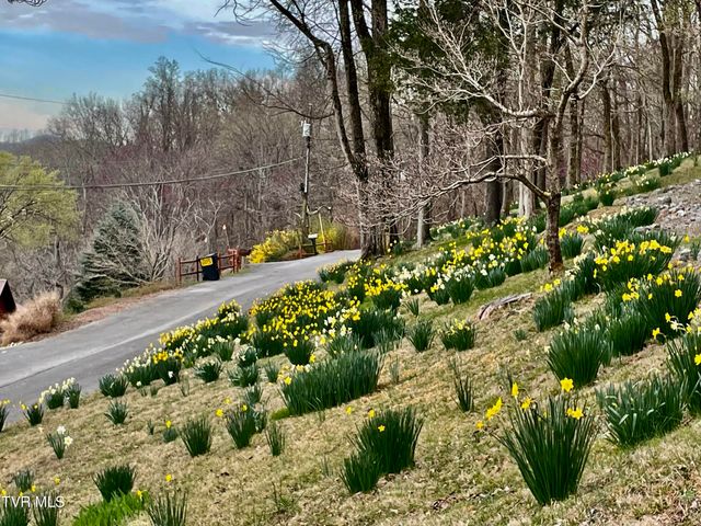 562 Gammon Road, Kingsport, TN 37663