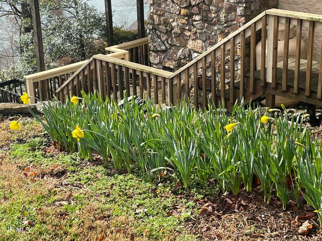 562 Gammon Road, Kingsport, TN 37663