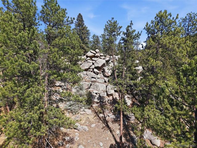 27569 Fireweed Dr, Evergreen, CO 80439