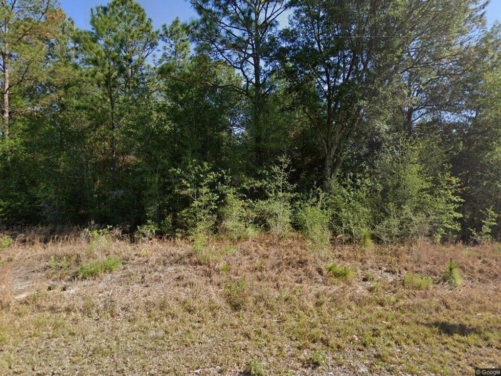 20313 SW Audubon Avenue, Dunnellon, FL 34431