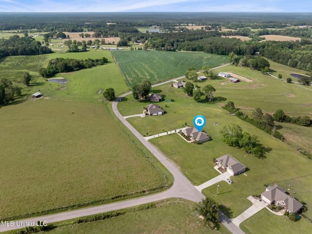 446 Newman Camp Road, Sumrall, MS 39482