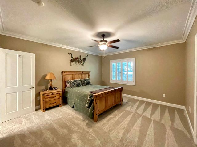 157 N Spring Street, Melbourne, AR 72556