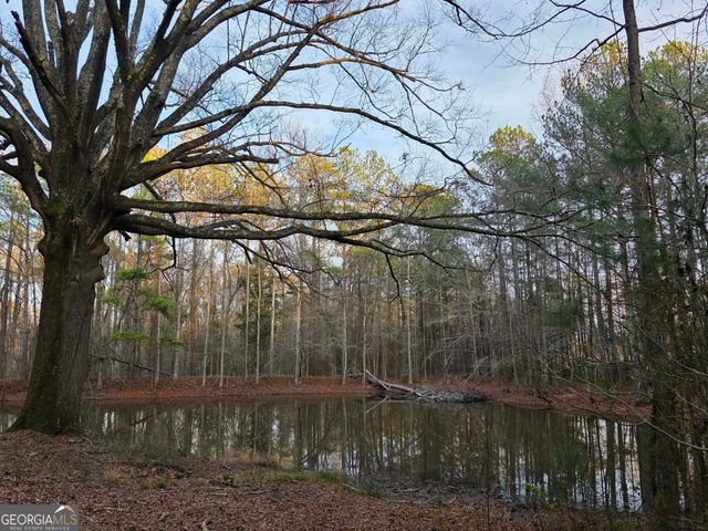 1330 Dunn Road, Molena, GA 30258