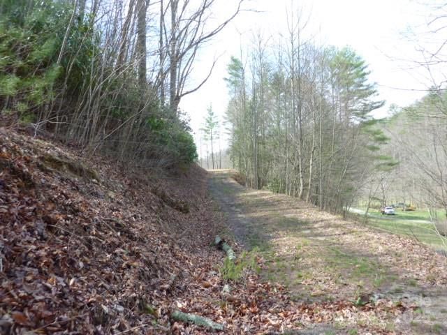 tbd Joe tweed Road, Marshall, NC 28753