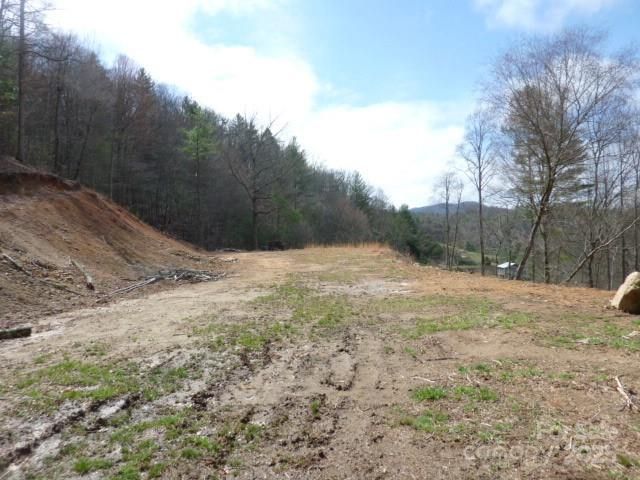 tbd Joe tweed Road, Marshall, NC 28753