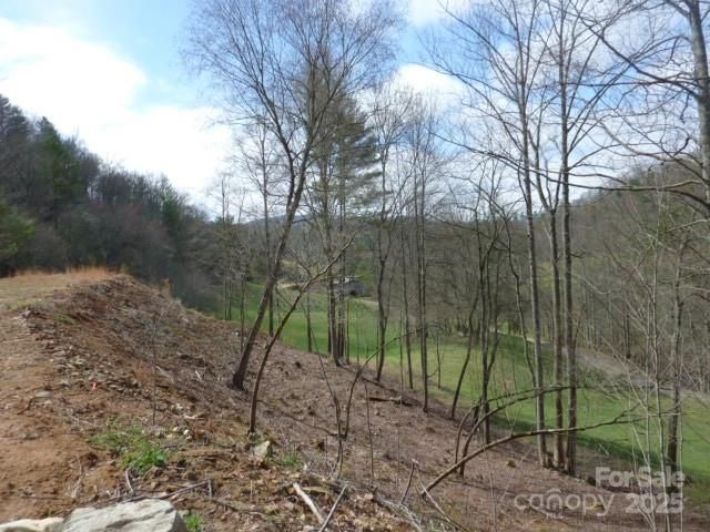 tbd Joe tweed Road, Marshall, NC 28753