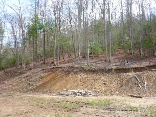 tbd Joe tweed Road, Marshall, NC 28753