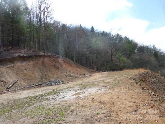 tbd Joe tweed Road, Marshall, NC 28753