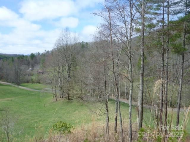 tbd Joe tweed Road, Marshall, NC 28753