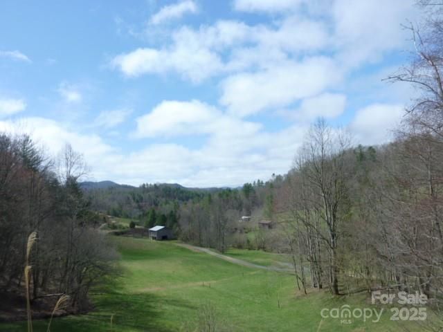 tbd Joe tweed Road, Marshall, NC 28753