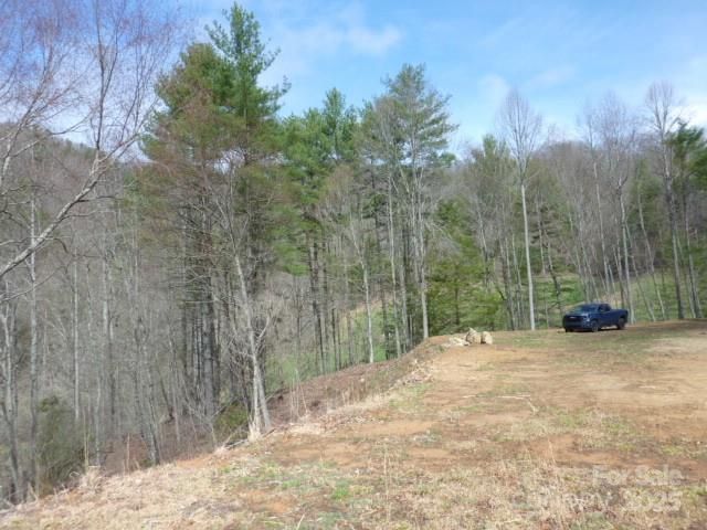 tbd Joe tweed Road, Marshall, NC 28753