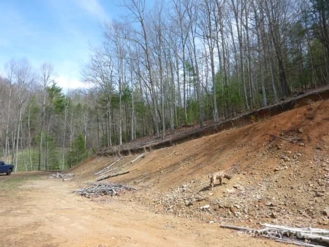 tbd Joe tweed Road, Marshall, NC 28753