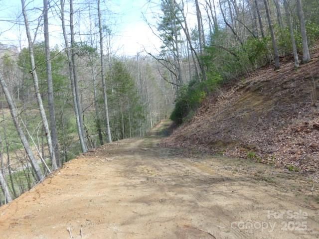 tbd Joe tweed Road, Marshall, NC 28753