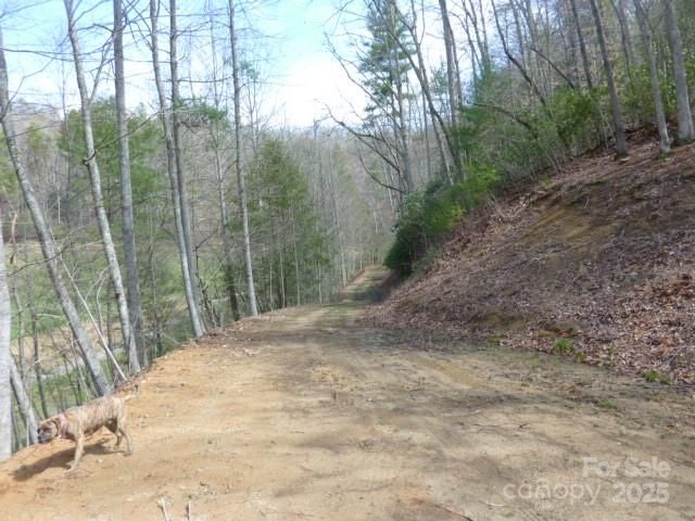 tbd Joe tweed Road, Marshall, NC 28753