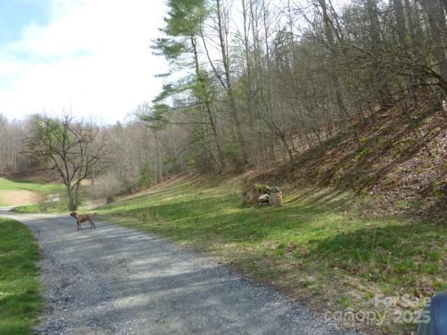 tbd Joe tweed Road, Marshall, NC 28753