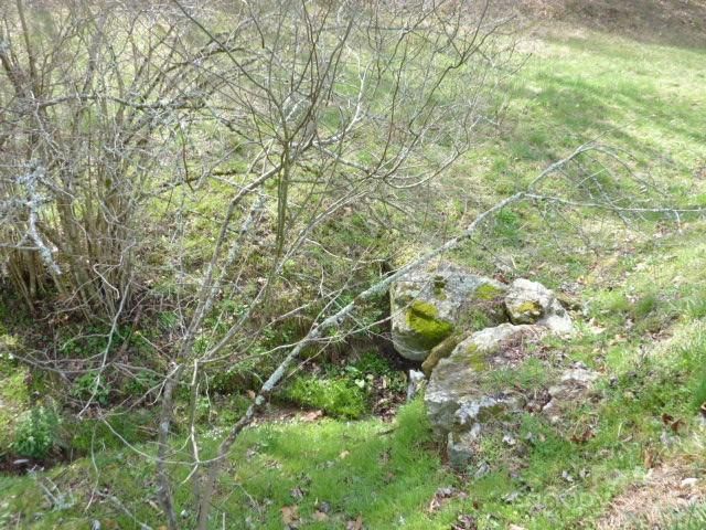 tbd Joe tweed Road, Marshall, NC 28753