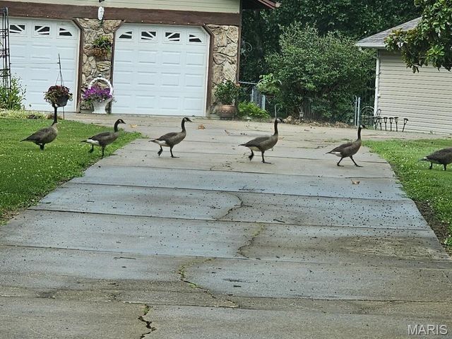 213 Lincoln Lane, Winfield, MO 63389