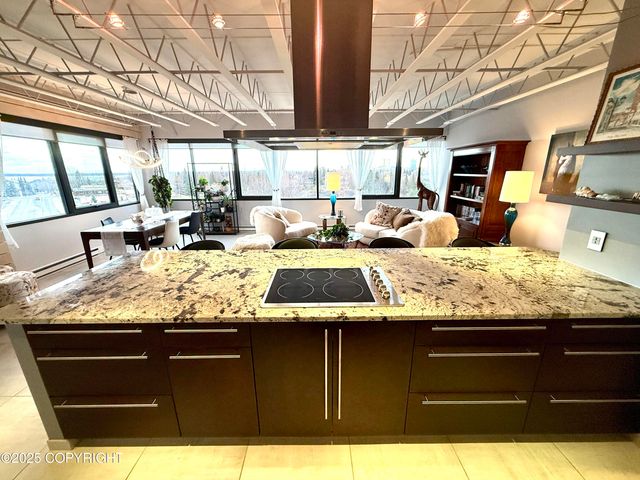 1113 W Fireweed Lane 505, Anchorage, AK 99503