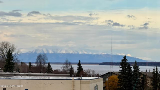 1113 W Fireweed Lane 505, Anchorage, AK 99503