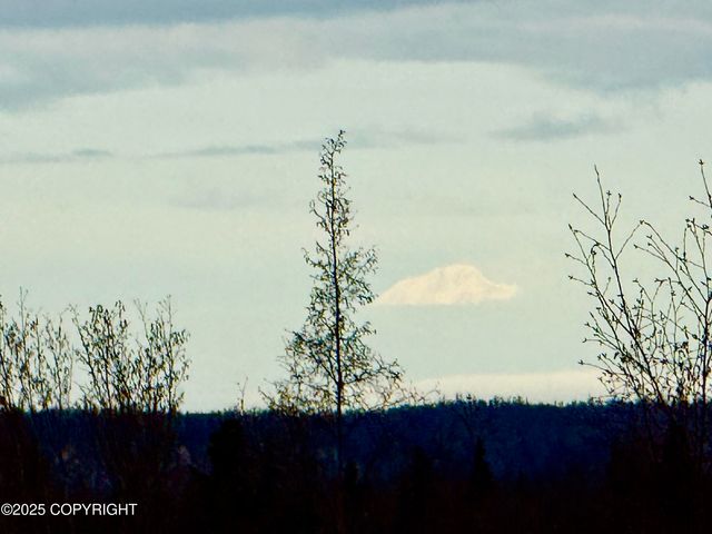 1113 W Fireweed Lane 505, Anchorage, AK 99503