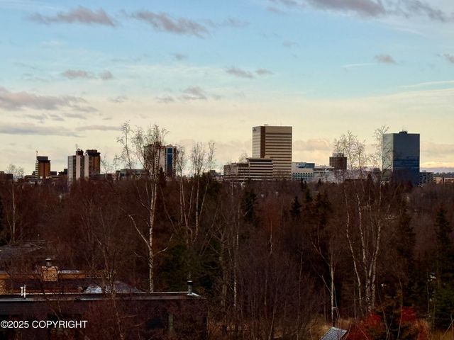 1113 W Fireweed Lane 505, Anchorage, AK 99503