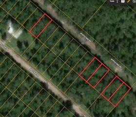 154 Myrtle Mae Drive, Livingston, TX 77351