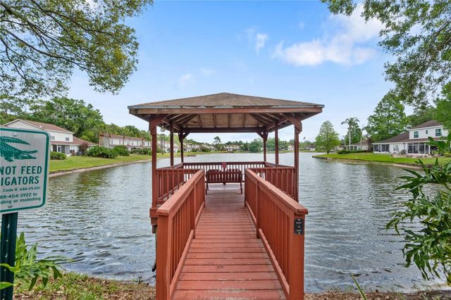 21506 GRAY TERN COURT, Lutz, FL 33549