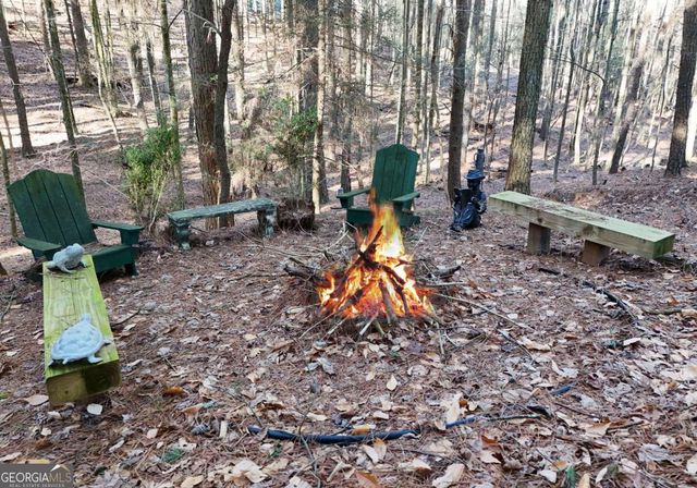 63 Misty Oaks Court, Ellijay, GA 30536