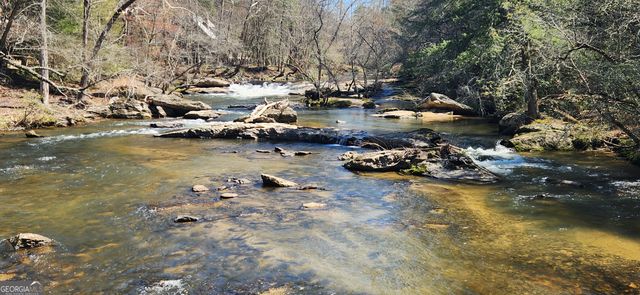 63 Misty Oaks Court, Ellijay, GA 30536