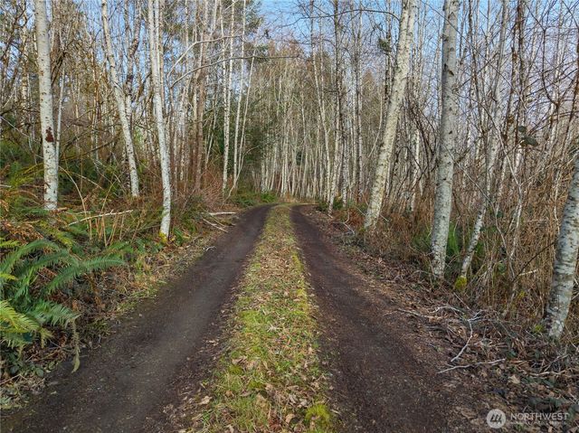 7219 Gallagher Cove Road NW, Olympia, WA 98502