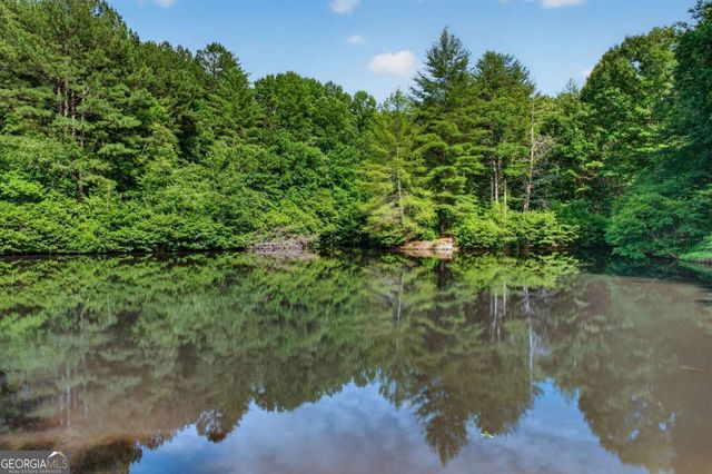 24 Twin Lakes Road, Blue Ridge, GA 30513