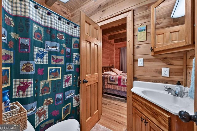 24 Twin Lakes Road, Blue Ridge, GA 30513