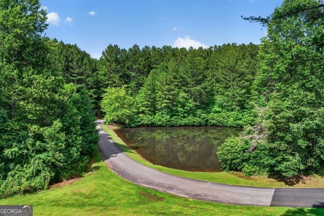 24 Twin Lakes Road, Blue Ridge, GA 30513