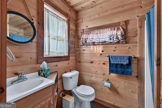 24 Twin Lakes Road, Blue Ridge, GA 30513