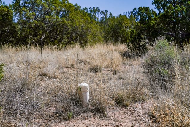15 Rain Dance Court, Santa Fe, NM 87506
