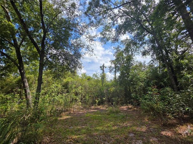 13117 N COUNTY ROAD 225, Gainesville, FL 32609