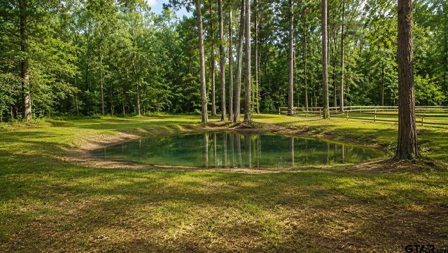 12890 CR 463, Tyler, TX 75706