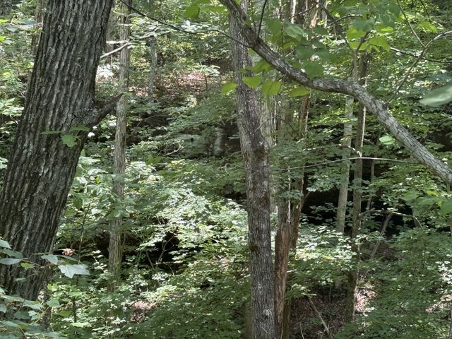 0 Wilder Hwy, Wilder, TN 38589