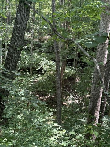 0 Wilder Hwy, Wilder, TN 38589