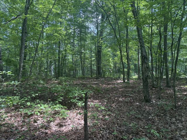 0 Wilder Hwy, Wilder, TN 38589