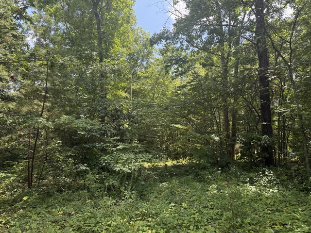 0 Wilder Hwy, Wilder, TN 38589